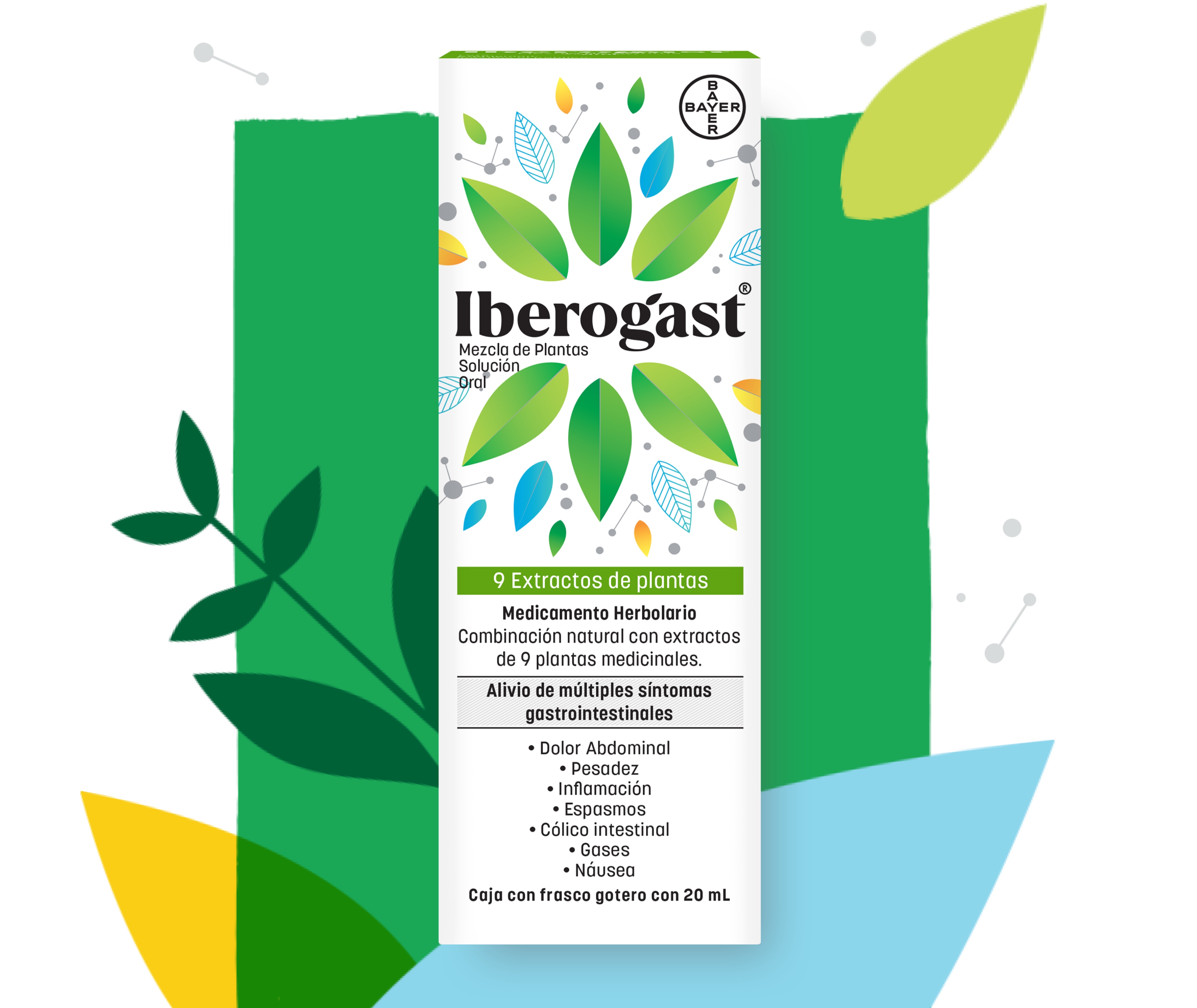 iberogast 20ml